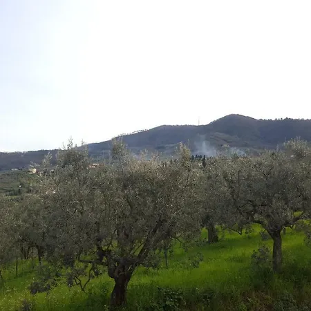 Σπίτι διακοπών Casa Leonardo Quarrata